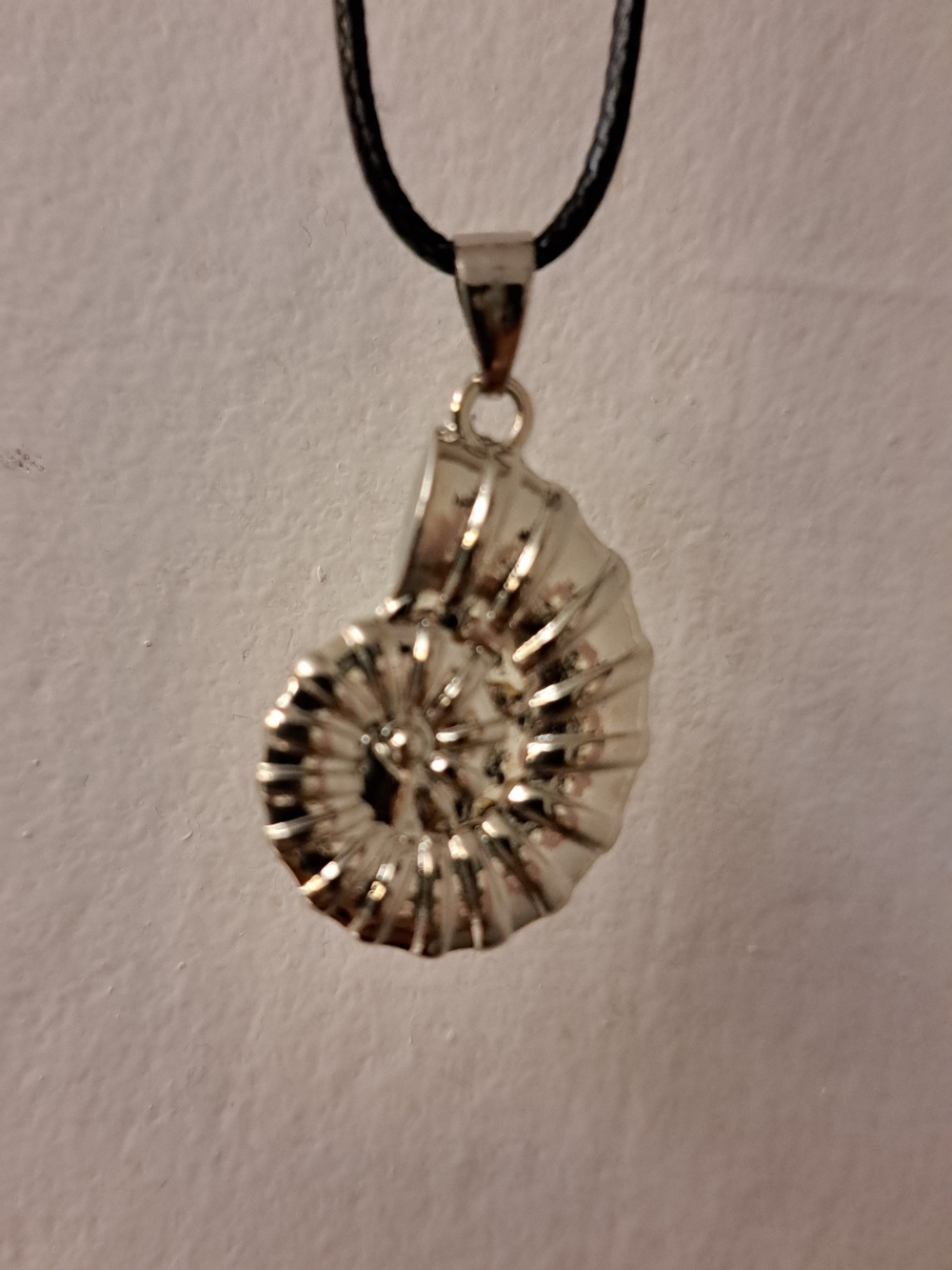 Silver Nautilus Shell Pendant Necklace - Women Jewelry
